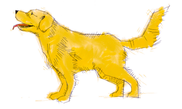 dog drawing
