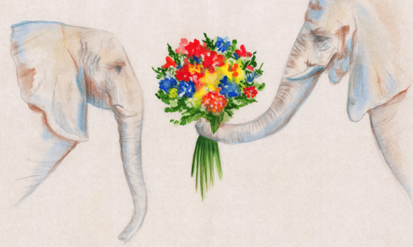 Learn to paint and draw an elephant