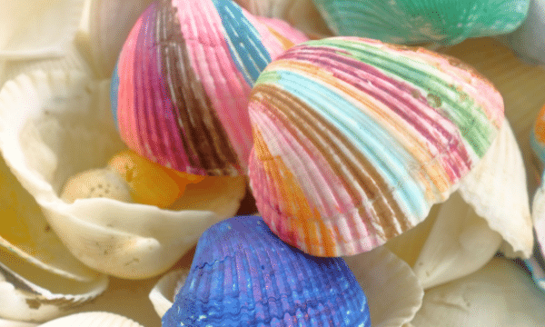 Painting shell necklace