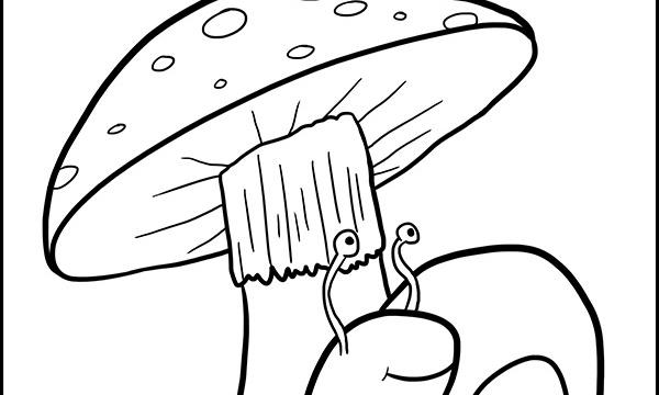 Mushroom and snail coloring page to print for free