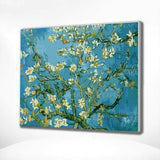 Paint by Numbers Almond Branches
