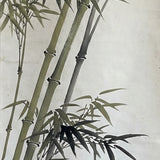 Paint by Numbers Bamboo in the wind Japan