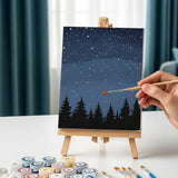 Enchanted Heaven - Paint by Numbers Mini Set of 6
