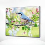 Paint by Numbers Blue Bird