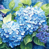 Paint by Numbers Blue Hydrangea