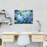 Paint by Numbers Blue Hydrangea
