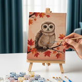 Tawny Owl at Twilight - Paint by Numbers Mini Set of 6
