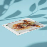 Diamond Painting Brown Scottish Highlander