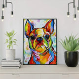 Paint by Numbers Bulldog Happy Colours