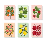 The Fruit Collection - Paint by Numbers Mini Set of 6
