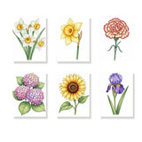 The Language of Flowers - Paint by Numbers Mini Set of 6