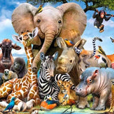 Paint by Numbers Animal Safari