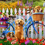 Paint by Numbers Bicycle with Dogs
