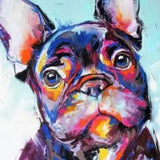 Paint by Numbers Coloured Bulldog