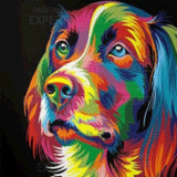 Diamond Painting Coloured Labrador