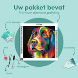 Diamond Painting Coloured Labrador