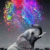 Diamond Painting Coloured Elephant