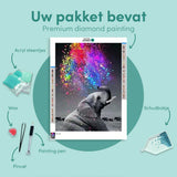 Diamond Painting Coloured Elephant