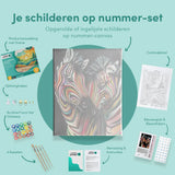 Paint by Numbers Coloured Zebras