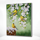 Paint by Numbers Yellow Birds with White Flowers