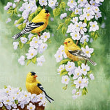 Paint by Numbers Yellow Birds with White Flowers