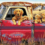 Paint by Numbers Dogs in Red Car