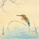 Diamond Painting Kingfisher on the shore Japan