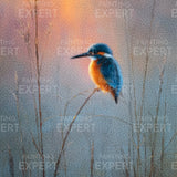 Diamond Painting Kingfisher at sunrise