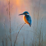 Diamond Painting Kingfisher at sunrise
