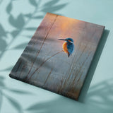 Paint by Numbers Kingfisher at sunrise