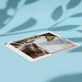 Diamond Painting Cat and a Butterfly