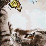 Paint by Numbers Cat and a Butterfly