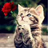 Diamond Painting Cat with a Rose