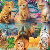 Paint by Numbers Cats and Lions