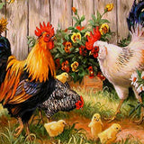 Paint by Numbers Chickens