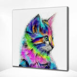 Paint by Numbers Kitten
