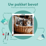 Diamond Painting Kittens Basket