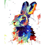 Paint by Numbers Colorful Rabbit
