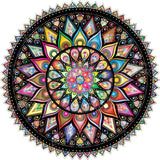 Paint by Numbers Colorful Mandala