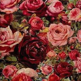 Paint by Numbers Colorful Roses