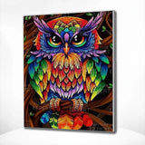 Paint by Numbers Colorful Owl