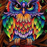 Paint by Numbers Colorful Owl