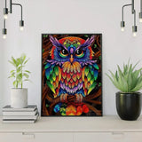 Paint by Numbers Colorful Owl