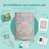 Paint by Numbers Colorful Owl