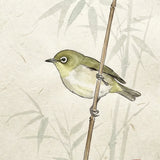 Diamond Painting Tintin on the Bank Willow Japan
