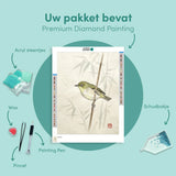 Diamond Painting Tintin on the Bank Willow Japan