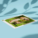 Diamond Painting Labrador & Flower