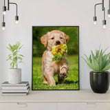 Diamond Painting Labrador & Flower
