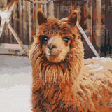 Paint by Numbers Lama