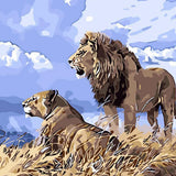 Paint by Numbers Lions Blue Sky